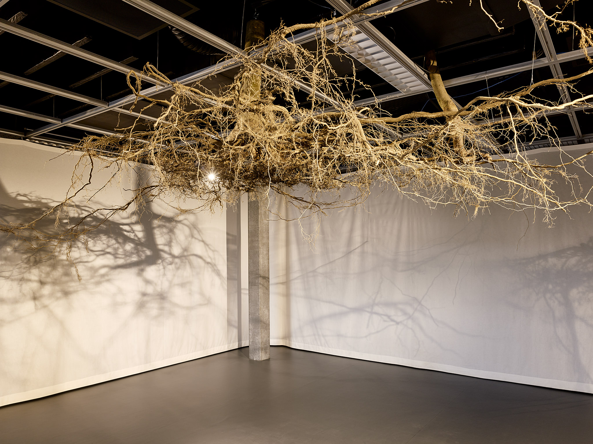 LIVE MATTER - Design Vegetal